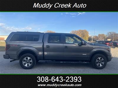 2013 Ford F-150 FX4   - Photo 2 - Merna, NE 68856