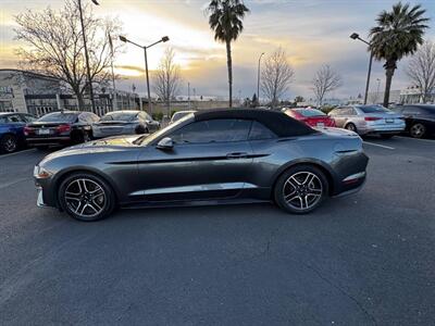 2019 Ford Mustang EcoBoost   - Photo 13 - Sacramento, CA 95825