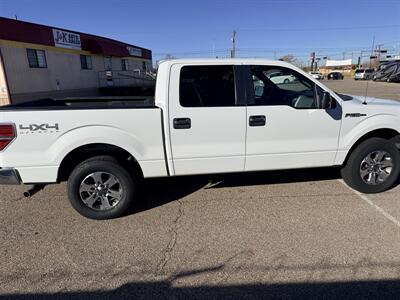 2014 Ford F-150 XLT   - Photo 7 - Albuquerque, NM 87107