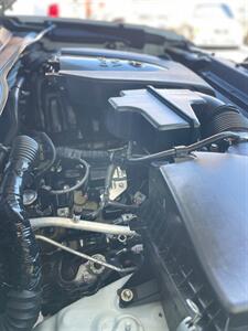 2019 Toyota Tacoma SR V6   - Photo 10 - Newbury Park, CA 91320