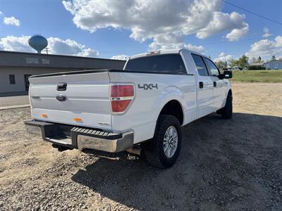 2014 Ford F-150 XLT - Photo 4 - Belfield, ND 58622