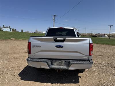 2017 Ford F-150 XLT - Photo 5 - Belfield, ND 58622