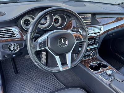 2014 Mercedes-Benz CLS CLS 550 4MATIC - Photo 35 - Laguna Niguel, CA 92677