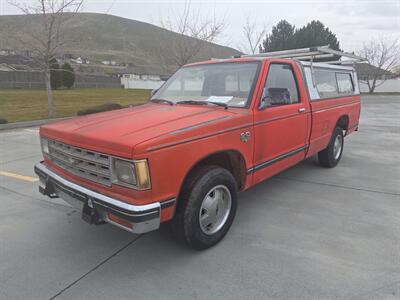 1982 Chevrolet S-10 Truck