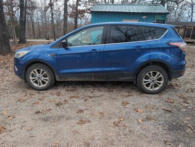 2017 Ford Escape SE - Photo 5 - Houston, MO 65483