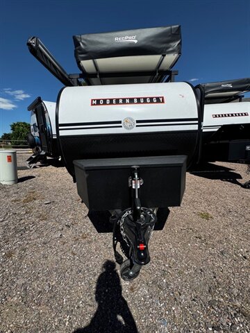 2026 MODERN BUGGY LITTLE BUGGY 10 10RK  