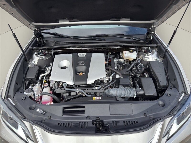 2021 Lexus ES 300h Luxury - Photo 21 - Warrington, PA 18976