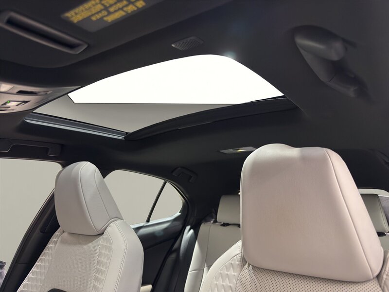 2020 Lexus UX 250h - Photo 20 - Warrington, PA 18976