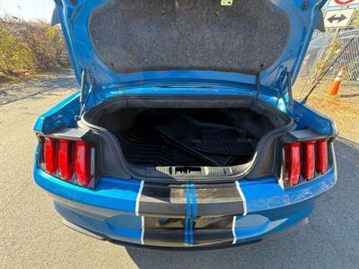 2019 Ford Mustang EcoBoost Premium Convertible 2D   - Photo 17 - Manassas, VA 20109