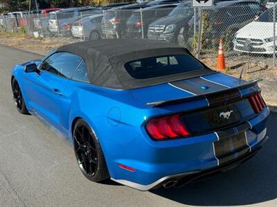 2019 Ford Mustang EcoBoost Premium Convertible 2D   - Photo 9 - Manassas, VA 20109