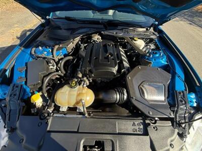 2019 Ford Mustang EcoBoost Premium Convertible 2D   - Photo 62 - Manassas, VA 20109