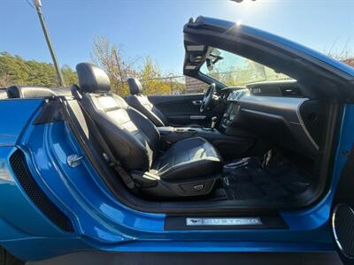2019 Ford Mustang EcoBoost Premium Convertible 2D   - Photo 50 - Manassas, VA 20109