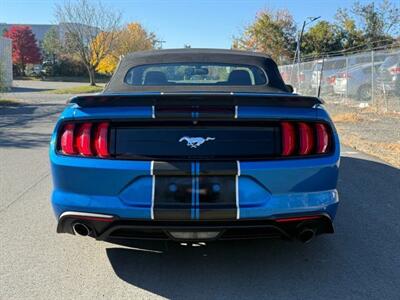 2019 Ford Mustang EcoBoost Premium Convertible 2D   - Photo 6 - Manassas, VA 20109