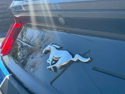 2019 Ford Mustang EcoBoost Premium Convertible 2D   - Photo 49 - Manassas, VA 20109