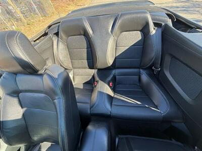 2019 Ford Mustang EcoBoost Premium Convertible 2D   - Photo 48 - Manassas, VA 20109