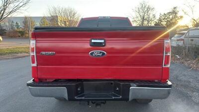 2010 Ford F-150 XLT Pickup 4D 6 1/2 ft   - Photo 6 - Manassas, VA 20109