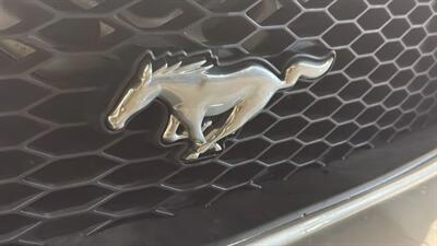 2005 Ford Mustang Deluxe Convertible 2D   - Photo 15 - Manassas, VA 20109